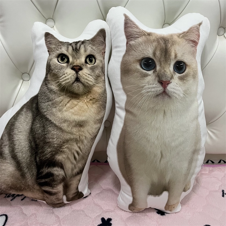 Couple Pillow Set — custom collectible doll